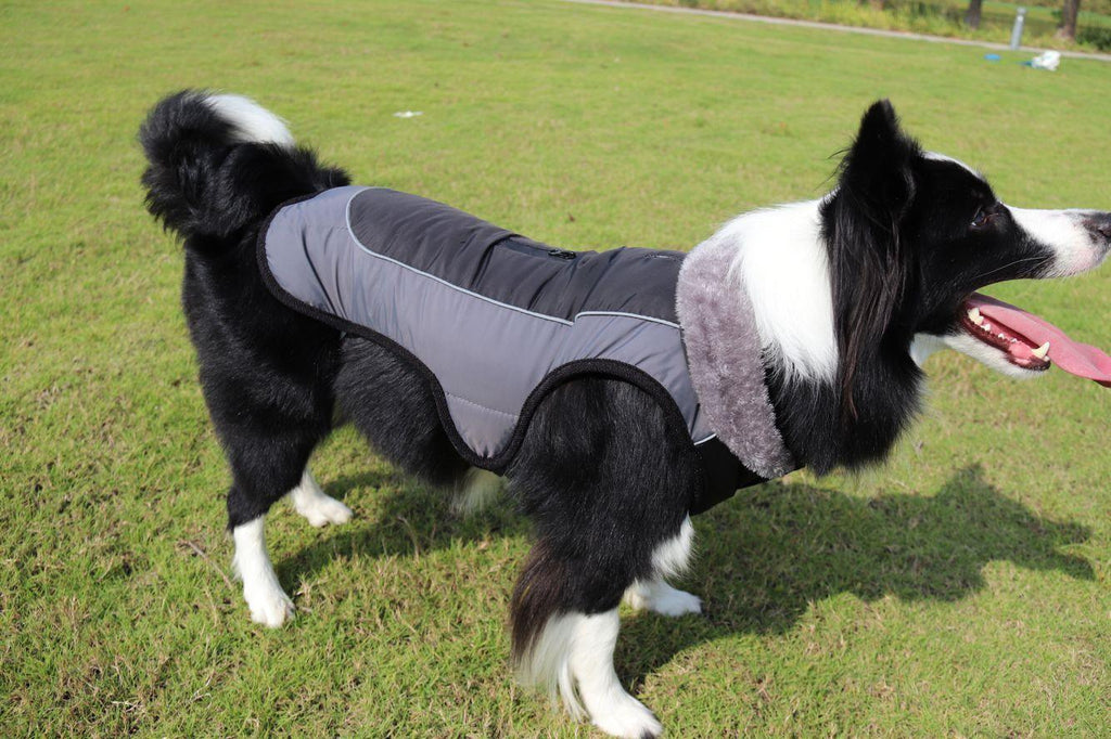 Ultimate Warmth Reflective Dog Coat